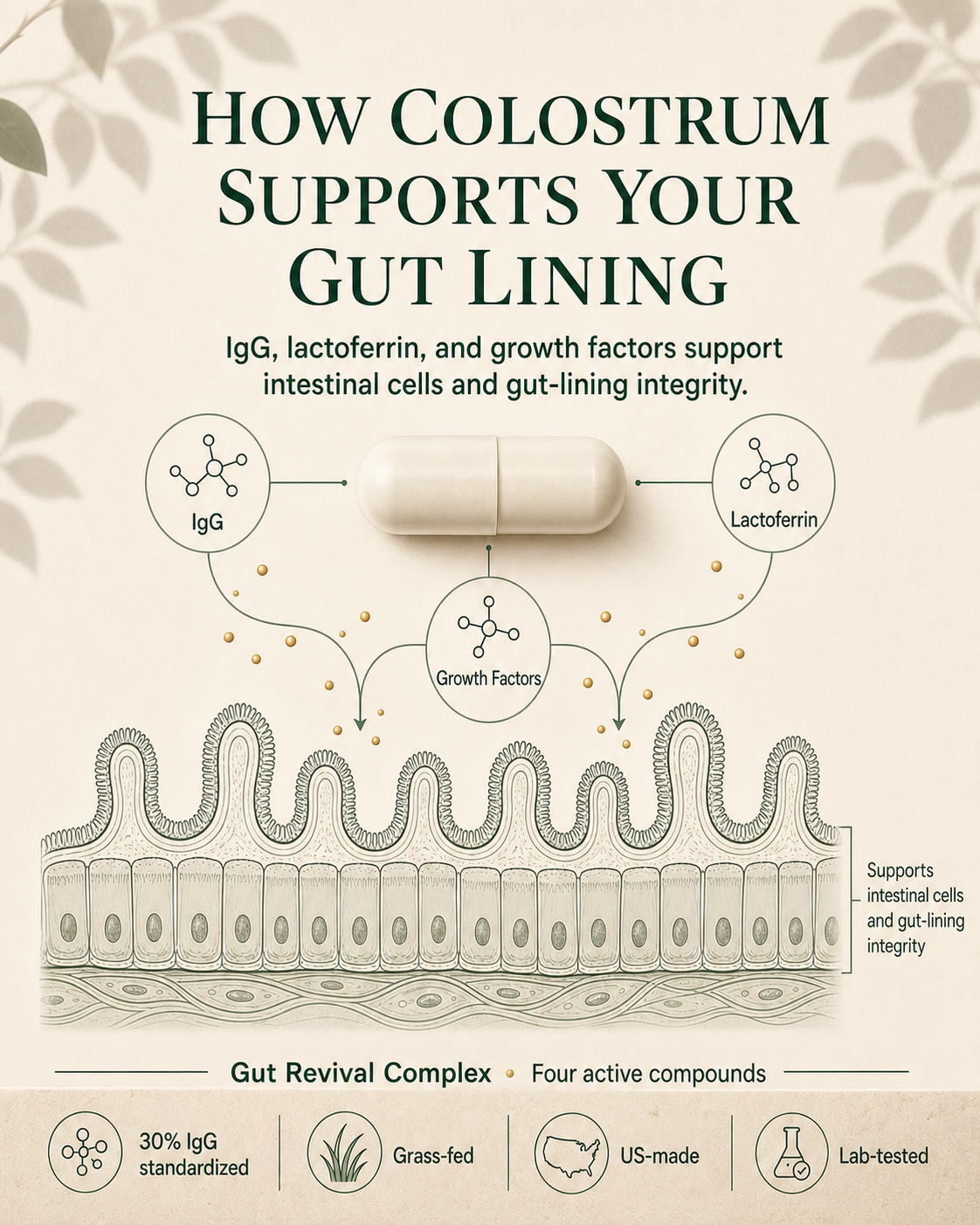 Nourabel Colostrum Capsules