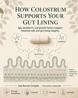Nourabel Colostrum Capsules