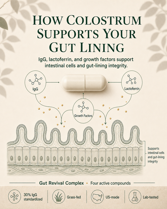 Nourabel Colostrum Capsules